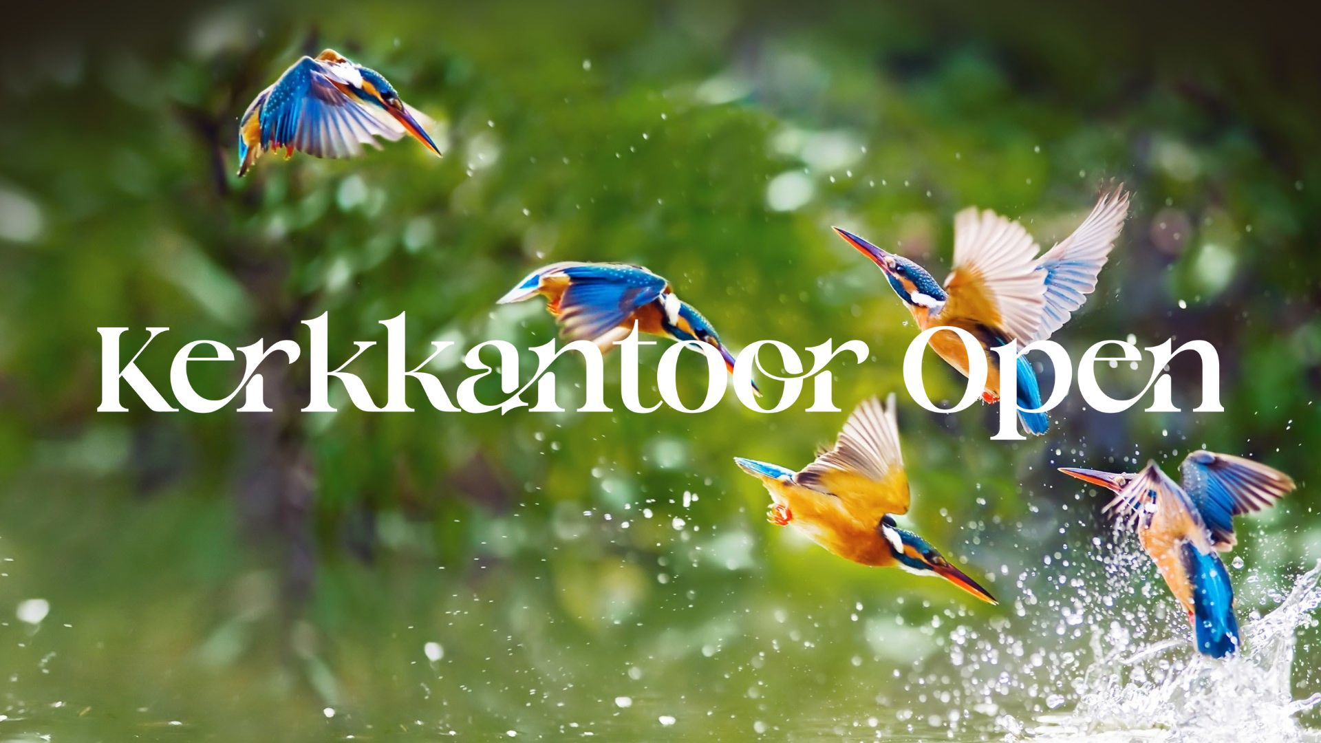 events – bloed, paas, dienste