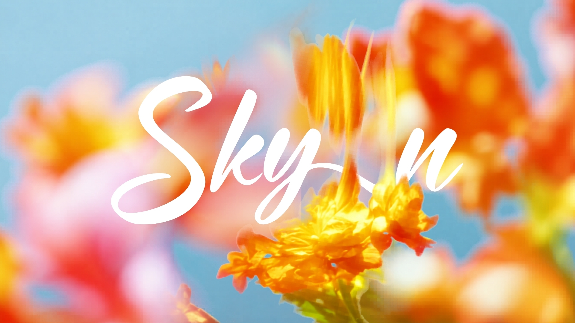SKYN